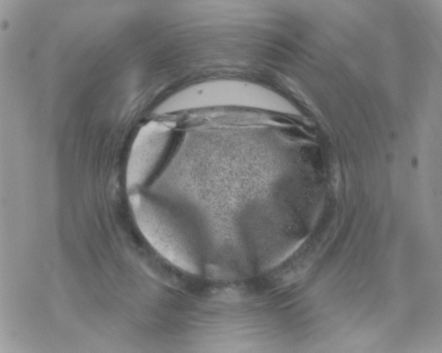 X0000071340259200607212039
