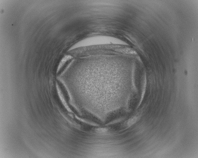 X0000071340265200607212039