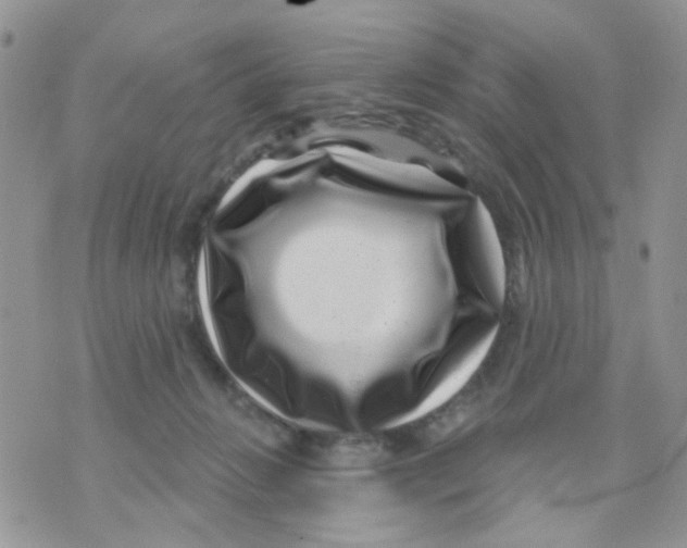 X0000071340270200607212039