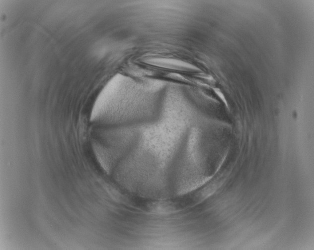 X0000071340273200607212039