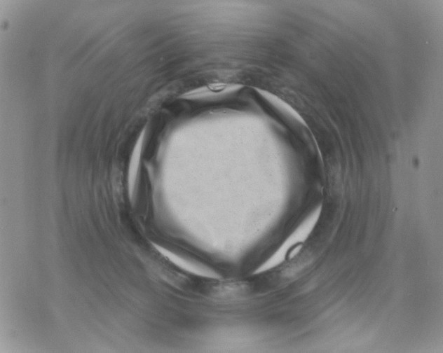 X0000071340274200607212040
