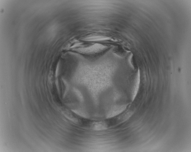 X0000071340275200607212040