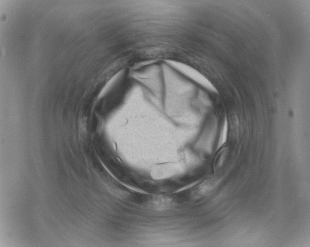 X0000071340278200607212040