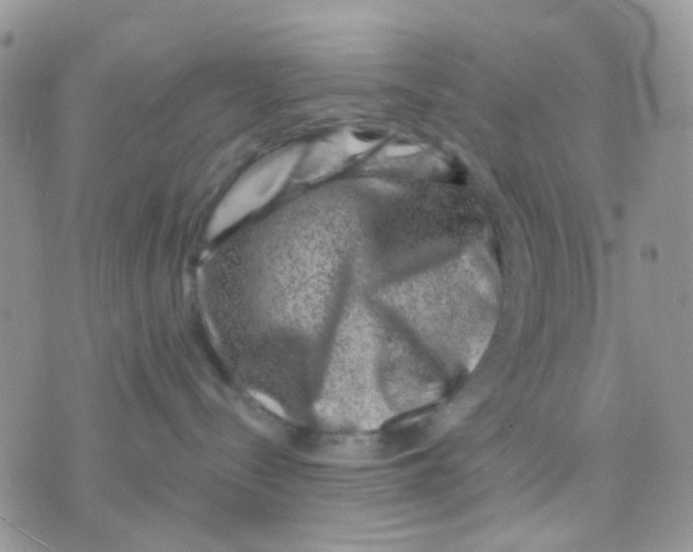 X0000071340288200607212040