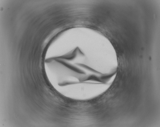 X0000071340292200607212039