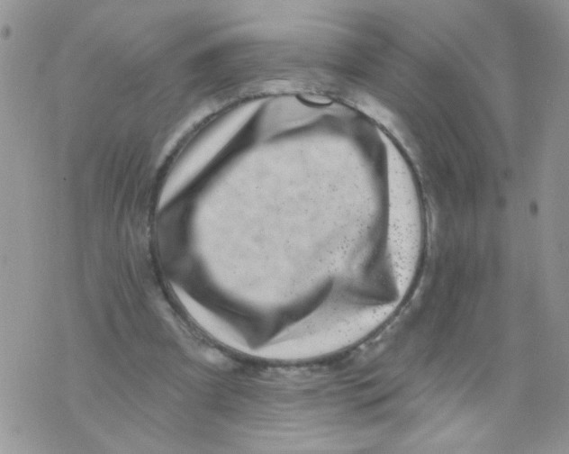 X0000071340297200607212039