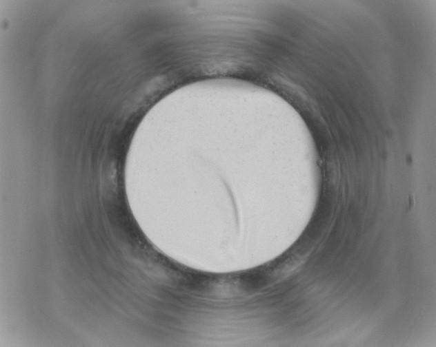 X0000071340308200607212039