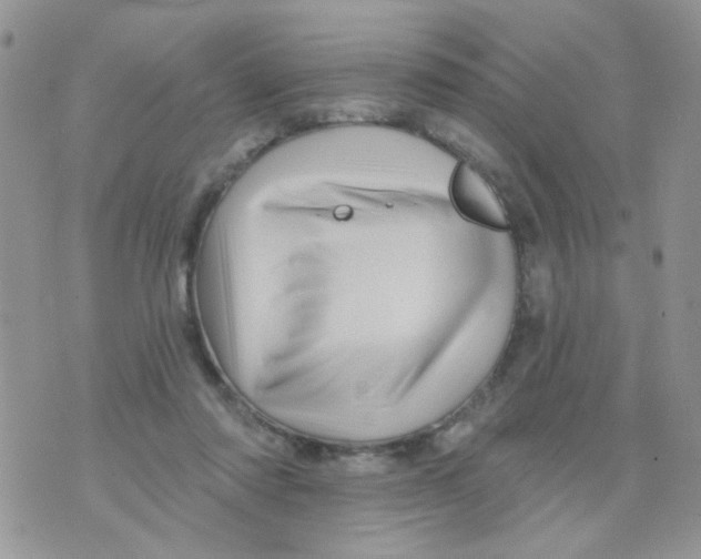 X0000071340310200607212039