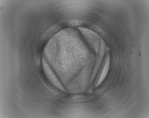 X0000071340315200607212039