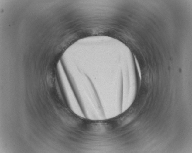X0000071340316200607212039