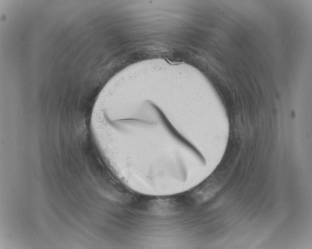 X0000071340320200607212038