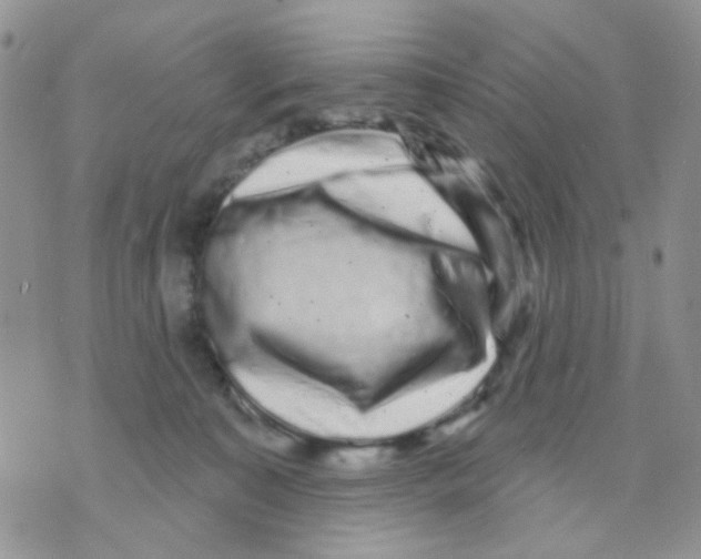 X0000071340323200607212038