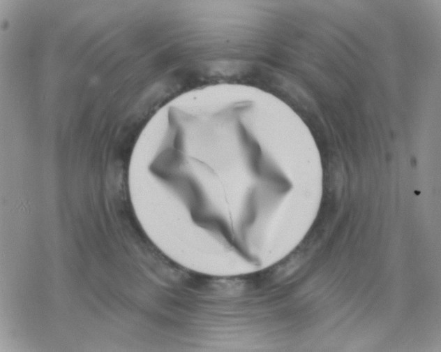 X0000071340328200607212038
