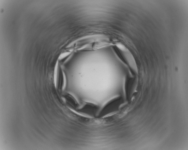 X0000071340329200607212038