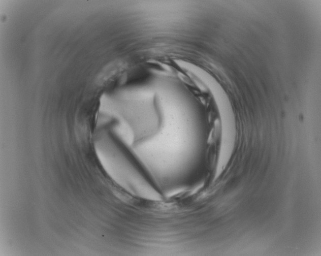 X0000071340333200607212038