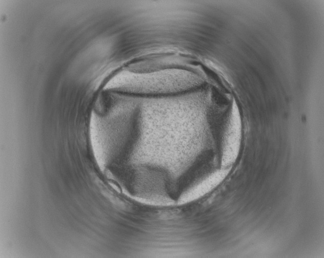 X0000071340345200607212038