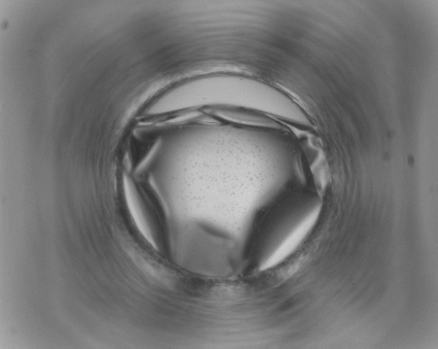 X0000071340350200607212038