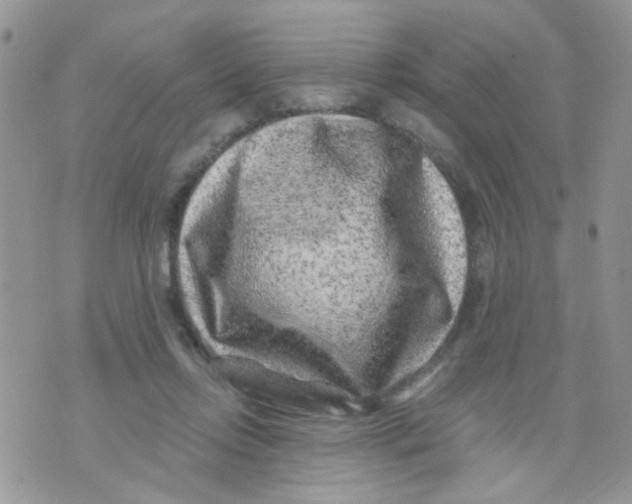 X0000071340358200607212038