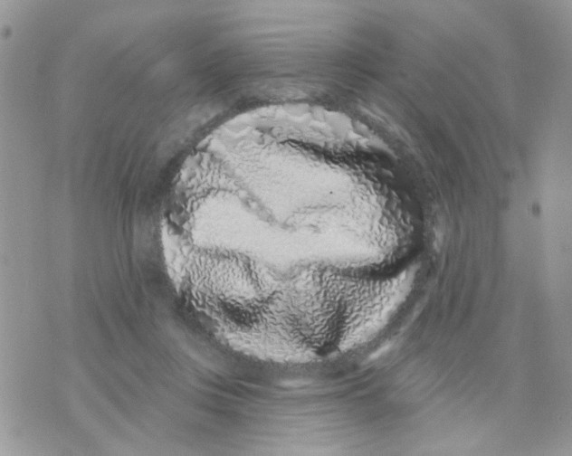 X0000071340359200607212038