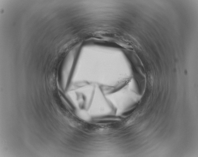 X0000071340364200607212038