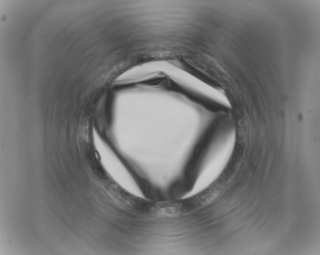 X0000071340368200607212038