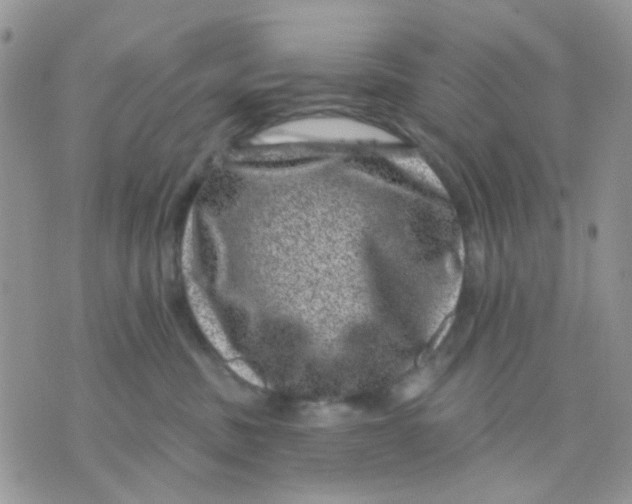 X0000071340379200607212038