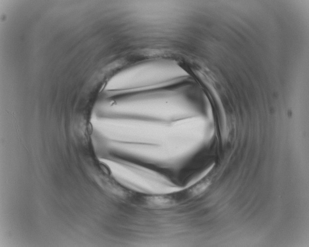 X0000071340380200607212038