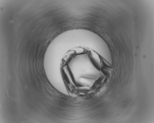 X0000071340384200607212038