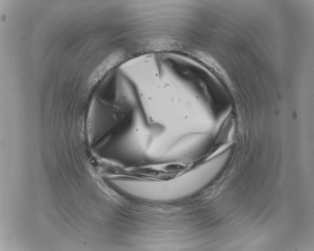 X0000071340393200607212037