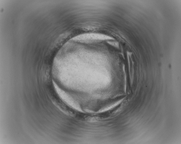 X0000071340408200607212037