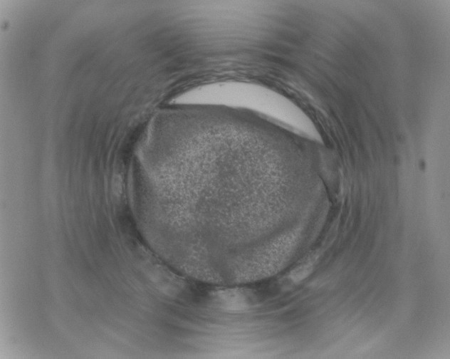X0000071340417200607212037