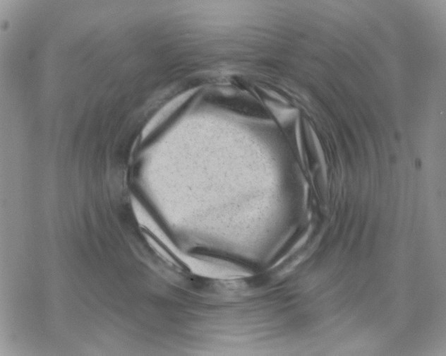 X0000071340429200607212037