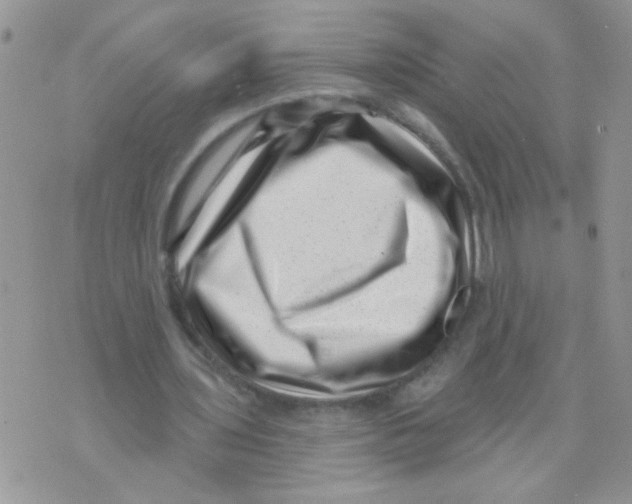 X0000071340435200607212036