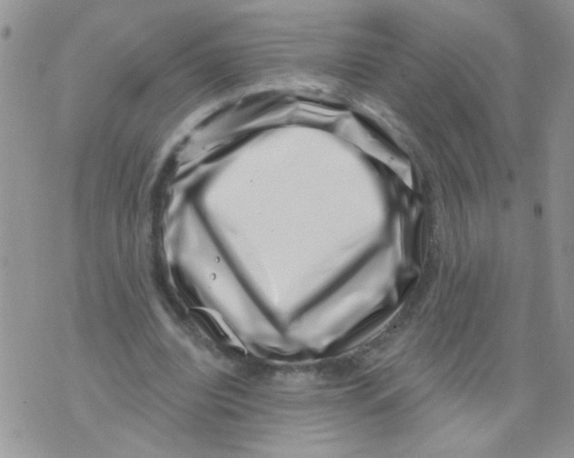 X0000071340440200607212036