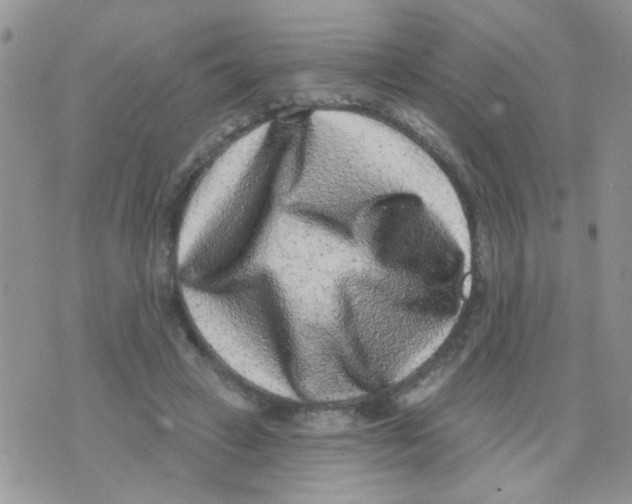 X0000071340449200607212036
