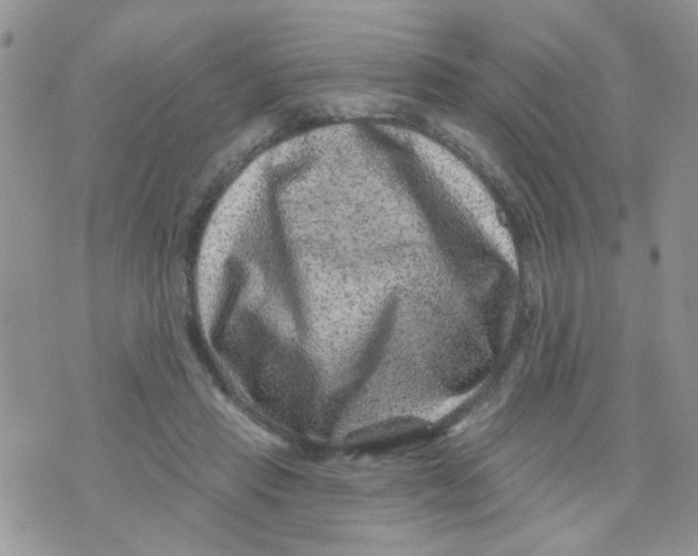 X0000071340453200607212036
