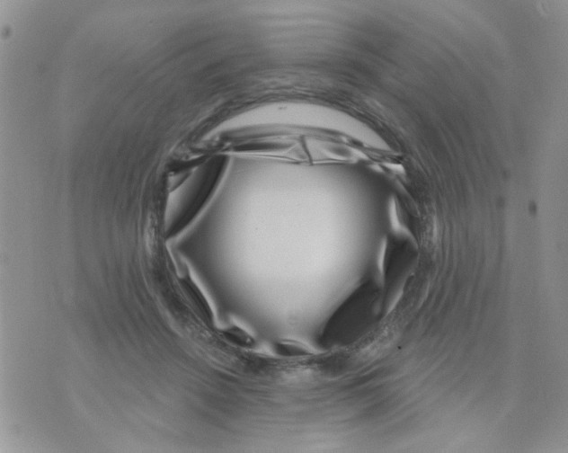 X0000071340456200607212036