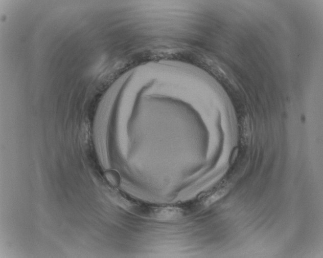X0000071340463200607212036