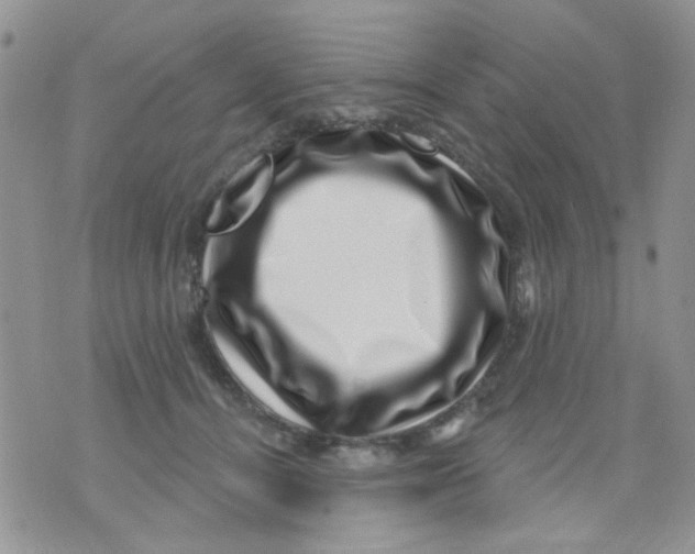 X0000071340464200607212036