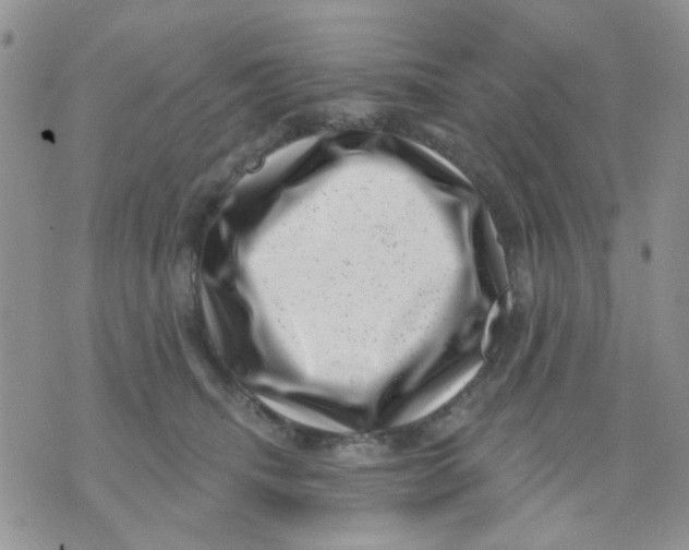 X0000071340468200607212036