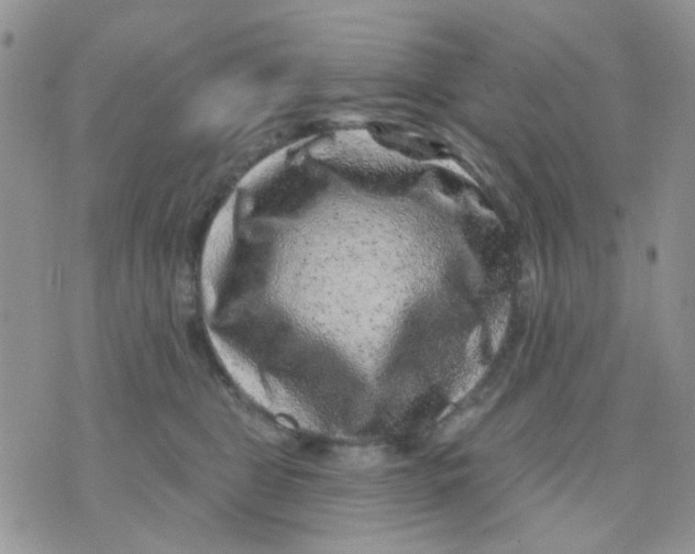 X0000071340469200607212036