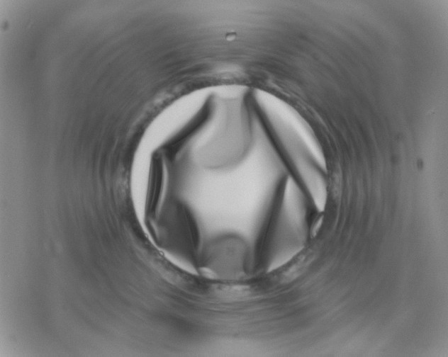 X0000071340476200607212037