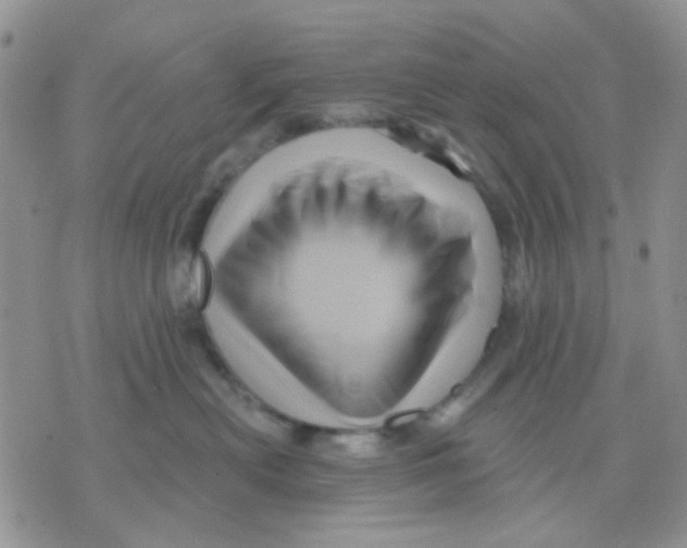 X0000071340478200607212037