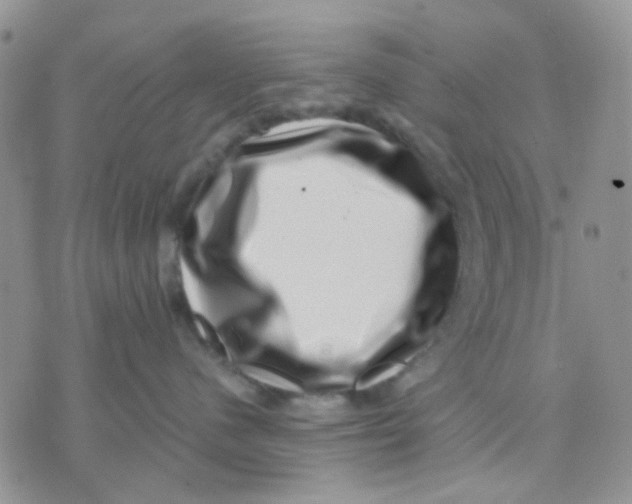 X0000071340480200607212037