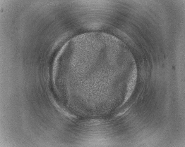 X0000071340494200607212036