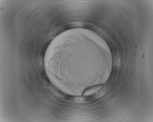 X0000071340518200607212035