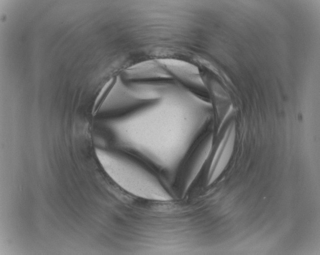 X0000071340521200607212035