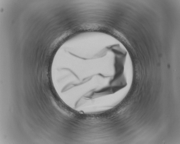 X0000071340538200607212034