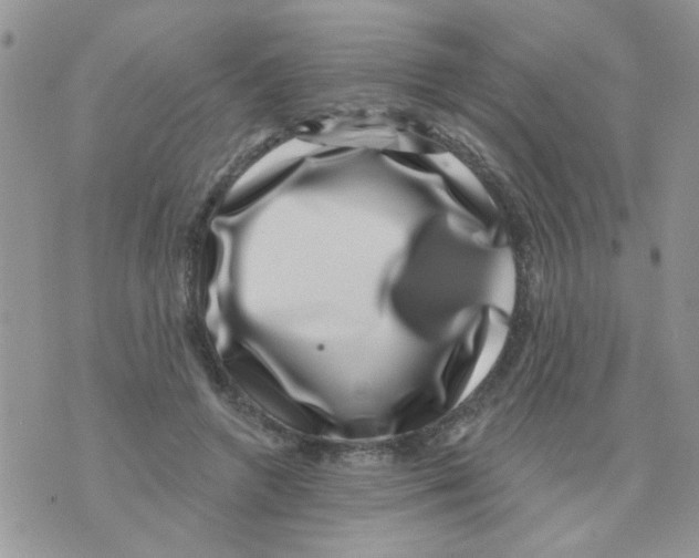 X0000071340546200607212034