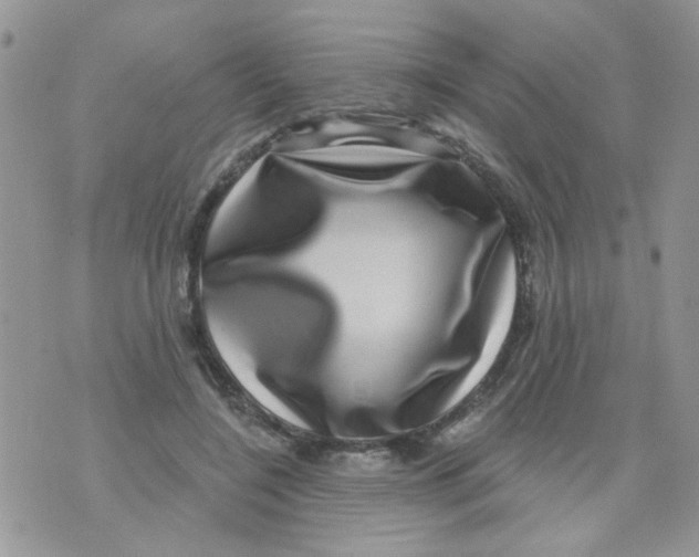 X0000071340548200607212035